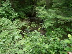 Culvert Crossing, Dunn Brook, Smyrna, Maine