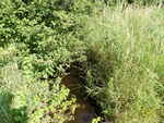Culvert Crossing, Houlton, Maine