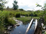 Culvert Crossing, Houlton, Maine