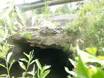 Culvert Crossing, Lamb Brook, Ludlow, Maine