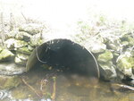Culvert Crossing, Linneus, Maine