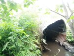 Culvert Crossing, Linneus, Maine
