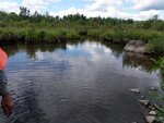 Culvert Crossing, Linneus, Maine