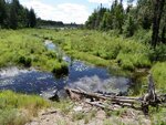 Culvert Crossing, Cary Plt, Maine