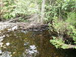 Culvert Crossing, Durrell Brook, Amity, Maine