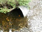 Culvert Crossing, Durrell Brook, Amity, Maine