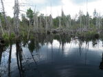 Culvert Crossing, Durrell Brook, Amity, Maine