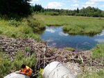 Multiple Culvert Crossing, Gin Brook, Bridgewater, Maine
