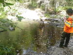 Ford Crossing, Meduxnekeag Stream, Cary Plt, Maine