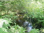 Culvert Crossing, Haney Brook, Cary Plt, Maine
