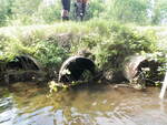 Multiple Culvert Crossing, Williams Brook, Presque Isle, Maine