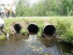 Multiple Culvert Crossing, Williams Brook, Presque Isle, Maine