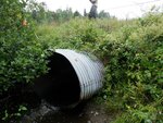 Culvert Crossing, Blaine, Maine