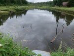Culvert Crossing, Blaine, Maine