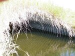 Culvert Crossing, Rocky Brook, Mars Hill, Maine