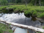 Culvert Crossing, Big Brook, Littleton, Maine