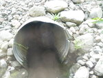 Culvert Crossing, Houlton, Maine