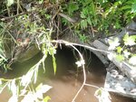 Culvert Crossing, Littleton, Maine