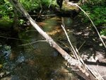 Culvert Crossing, Littleton, Maine