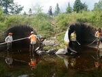 Multiple Culvert Crossing, Davis Brook, Cary Plt, Maine