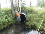 Culvert Crossing, Blaine, Maine