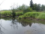 Culvert Crossing, Blaine, Maine