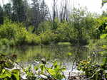 Multiple Culvert Crossing, Clark Brook, Presque Isle, Maine