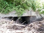 Culvert Crossing, Dead Brook, Bridgewater, Maine