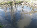 Culvert Crossing, Littleton, Maine