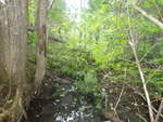Culvert Crossing, Masardis, Maine