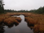 Culvert Crossing, Beaver Brook, Saint Croix Twp, Maine
