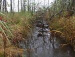 Culvert Crossing, Webbertown Twp, Maine