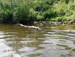 Culvert Crossing, Pearce Brook, Houlton, Maine