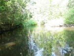 Multiple Culvert Crossing, Cook Brook, Houlton, Maine