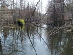 Multiple Culvert Crossing, Cook Brook, Houlton, Maine