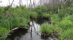 Multiple Culvert Crossing, Chapman, Maine