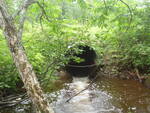 Culvert Crossing, Knights Brook, Presque Isle, Maine