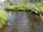 Bridge Crossing, Williams Brook, Presque Isle, Maine