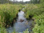 Culvert Crossing, Presque Isle, Maine