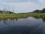 Culvert Crossing, Presque Isle, Maine