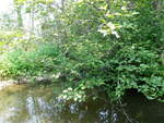 Bridge Crossing, Aroostook River, Masardis, Maine