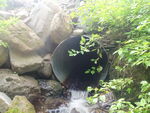 Culvert Crossing, Dug Brook, Ashland, Maine