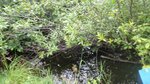 Culvert Crossing, Mapleton, Maine