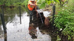Multiple Culvert Crossing, Dudley Brook, Castle Hill, Maine