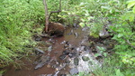 Culvert Crossing, Castle Hill, Maine