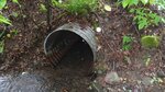 Culvert Crossing, Castle Hill, Maine