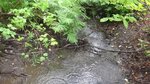 Culvert Crossing, Castle Hill, Maine