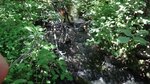 Culvert Crossing, Presque Isle, Maine