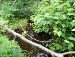 Bridge Crossing, Presque Isle Stream, Presque Isle, Maine