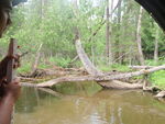 Culvert Crossing, Gardner Brook, Ashland, Maine